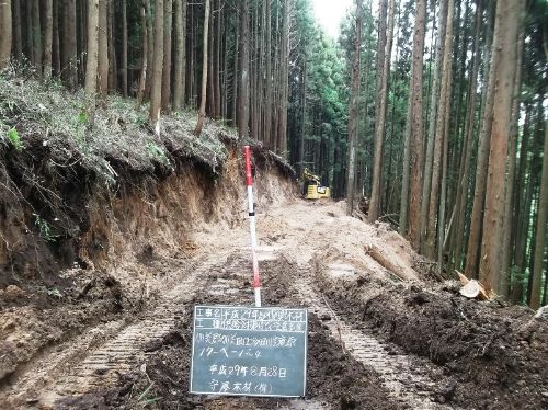 伐採工事の様子2