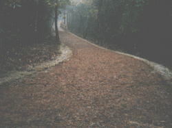 遊歩道景観