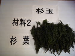 杉葉準備